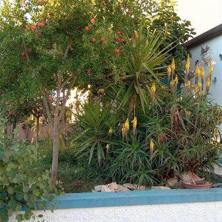 Casa Da Luisa Countryhouse Noci Exterior photo
