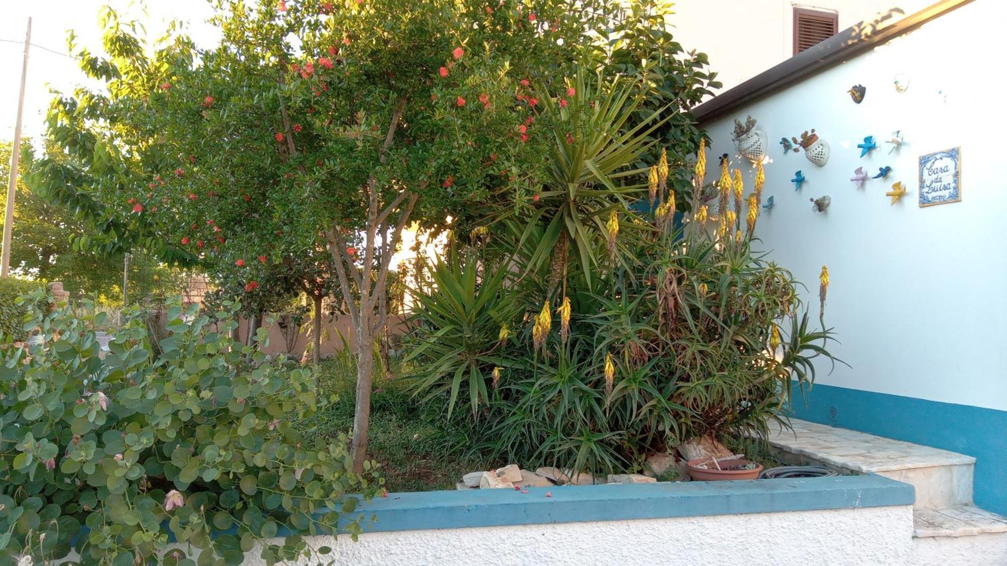 Casa Da Luisa Countryhouse Noci Exterior photo